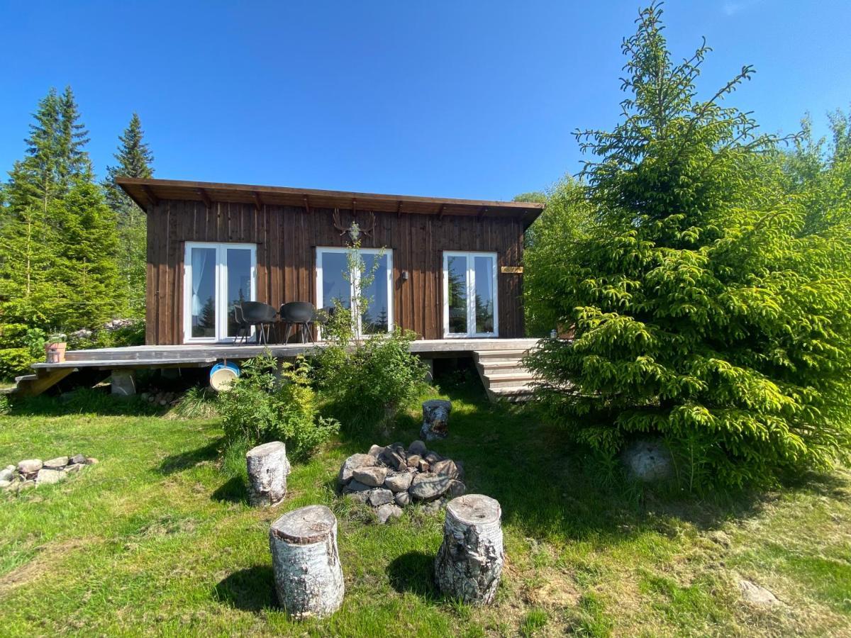 Cozy Forest Cabin With Amazing Mountain View Турсбю Экстерьер фото