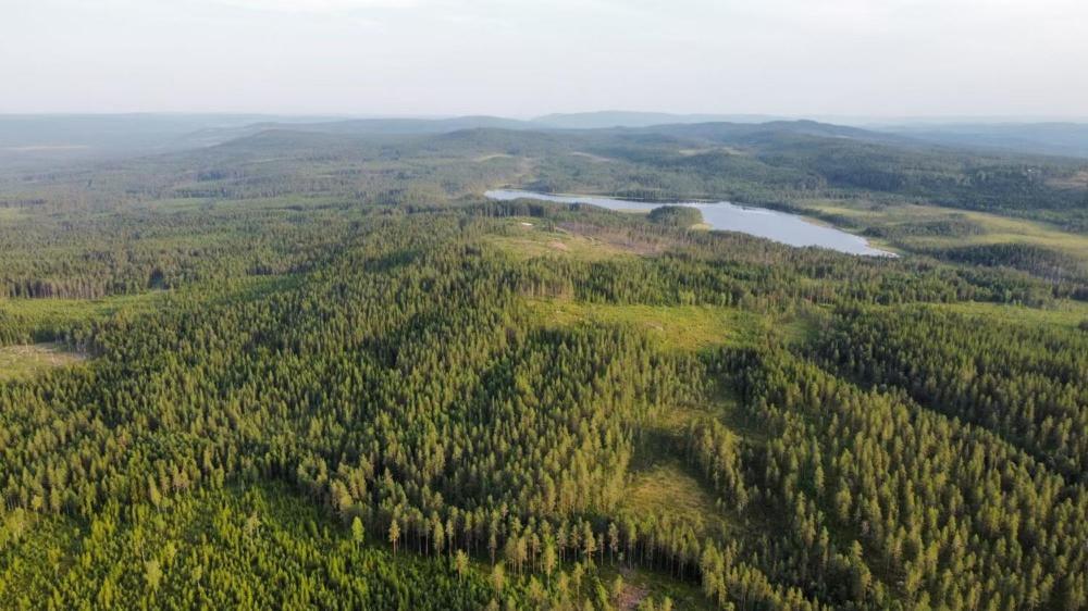 Cozy Forest Cabin With Amazing Mountain View Турсбю Экстерьер фото