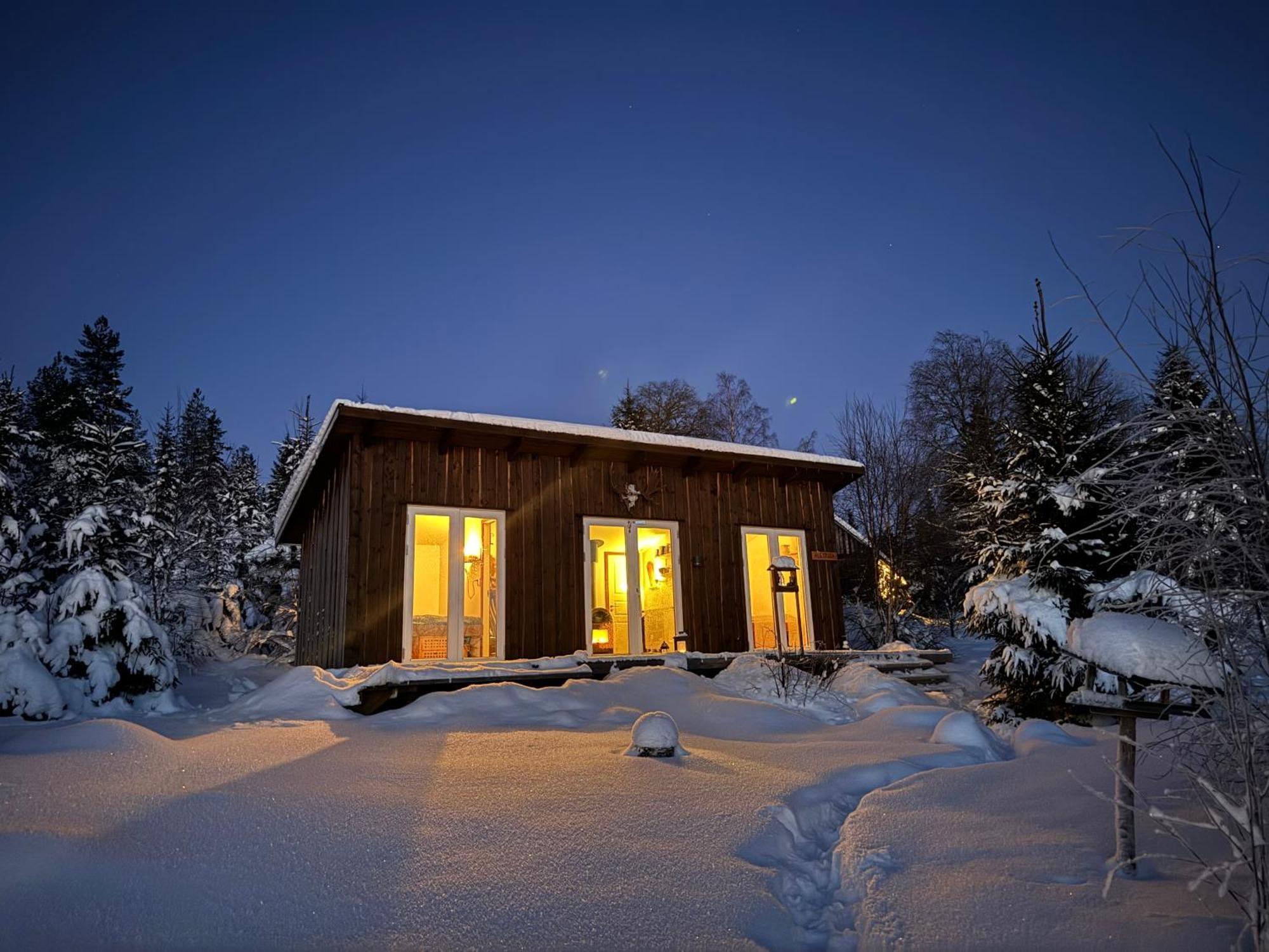 Cozy Forest Cabin With Amazing Mountain View Турсбю Экстерьер фото